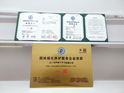 一站式商務(wù)服務(wù) 上海市營(yíng)業(yè)執(zhí)照與代碼證代辦、代理記賬及商務(wù)代理